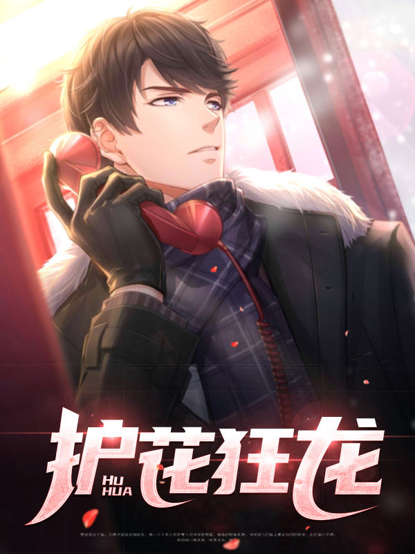 护花狂龙陆兴王诗雨电视剧
