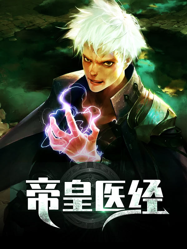 帝医小说