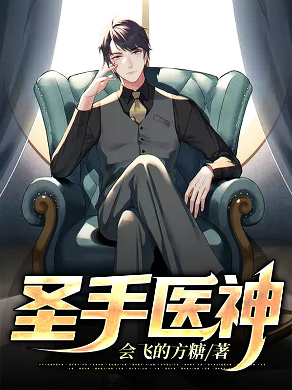 圣手神医小说