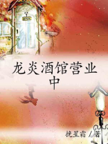 龙炎酒馆营业中百度云