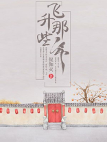 飞升之后写的什么