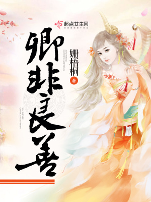 卿非良善小说好看么