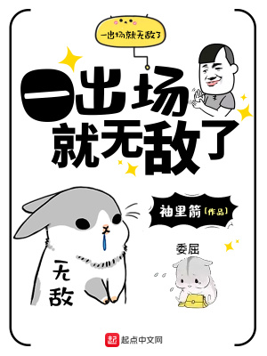 出场无敌的小说