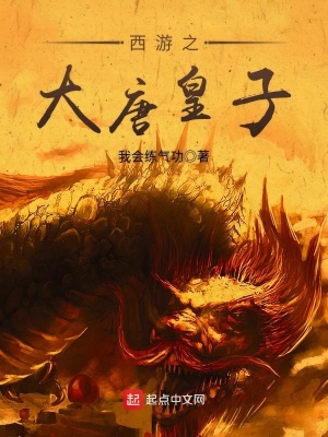 穿越西游之大唐皇子