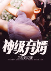 神级弃婿苏渊