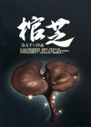 棺芝灵