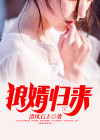 狼婿小说下载