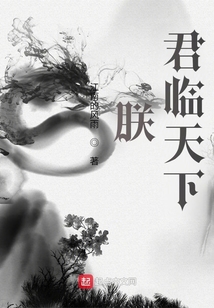 朕君临天下免费阅读