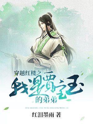 穿越红楼之我是贾宝玉的弟弟