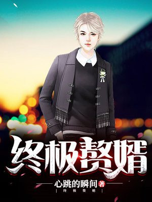 终极赘婿小说