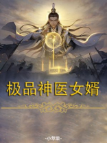 极品神医女婿