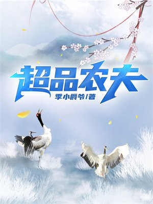 超品农民菜农种菜