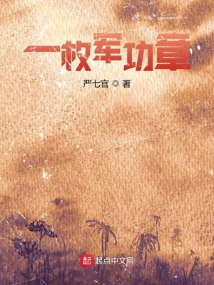 一枚军功章故事