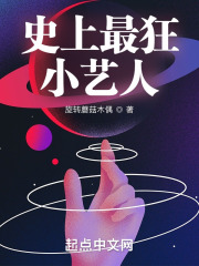 史上最狂小艺人小说