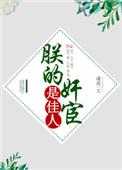 朕的宦官是佳人 晋江