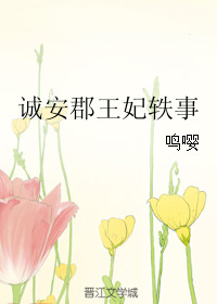 诚安郡王妃轶事 小说