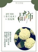 重生未来之晶师下载
