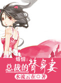 总裁的替身 小说