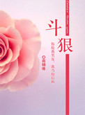 斗狠小说无弹窗