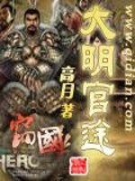 大明官途TXT下载
