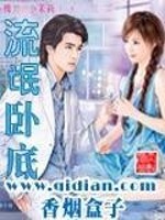 流氓卧底怎么形容