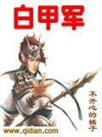 白甲军男主姓李的小说