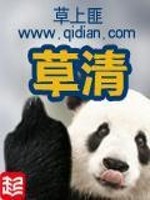 草清茶是什么茶