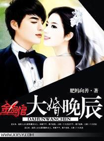 大婚晚辰,天价小妻子