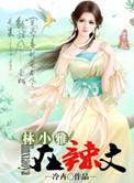 林小雅在辣文
