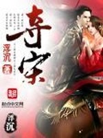 夺宋 百度小说