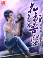 花都兽医小说推荐