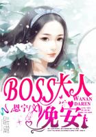 晚安教授大人 小说