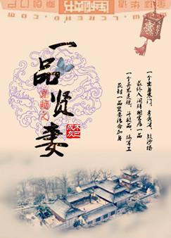 穿越之一品贤妻by
