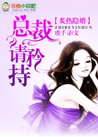 隐婚总裁请淡定洛洛小说
