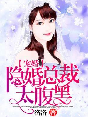 小说隐婚总裁霸道宠