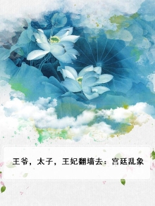 王爷妃子小说