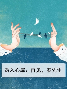 婚入心扉：再见，秦先生
