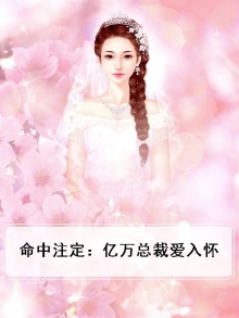 命中注定:亿万总裁爱入怀