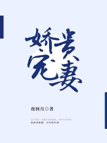娇宠贵妻