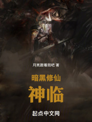 暗黑修仙小说