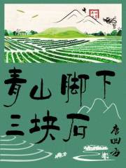青山脚下三块石是什么