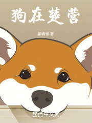 狗在楚营小说
