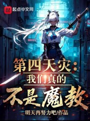第四天灾是什么类型