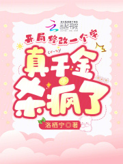 开局修改一个字,真千金杀疯了(洛栖宁)