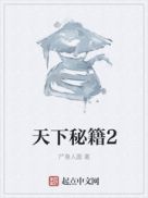 天下秘籍顶点