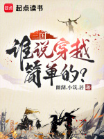 三国:谁说穿越简单的小说好看