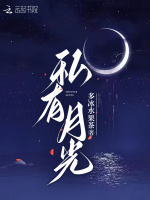 私有月光 作者:好想摸鱼(废文)