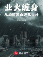 业火 小说