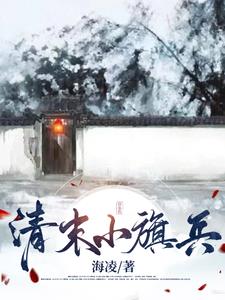 清末小旗兵小说