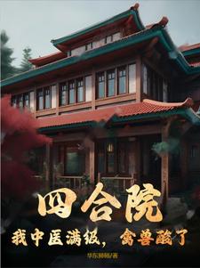 四合院:开局满级医术小说
